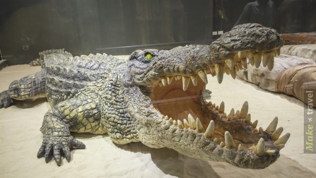 Крокодилы на Пхукете