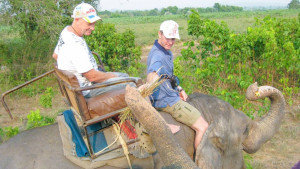 Катание на слонах в Паттайе