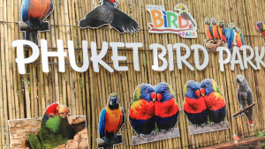 Парк птиц на Пхукете